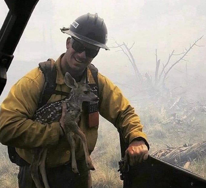 To each &amp; every firefighter (especially the wildland firefighters right now) THANK YOU!!  #california<a href="/tag/utah"class="tags"><span>#utah</span></a><a href="/tag/newmexico"class="tags"><span>#newmexico</span></a><a href="/tag/california"class="tags"><span>#california</span></a><a href="/tag/arizona"class="tags"><span>#arizona</span></a><a href="/tag/colorado"class="tags"><span>#colorado</span></a>