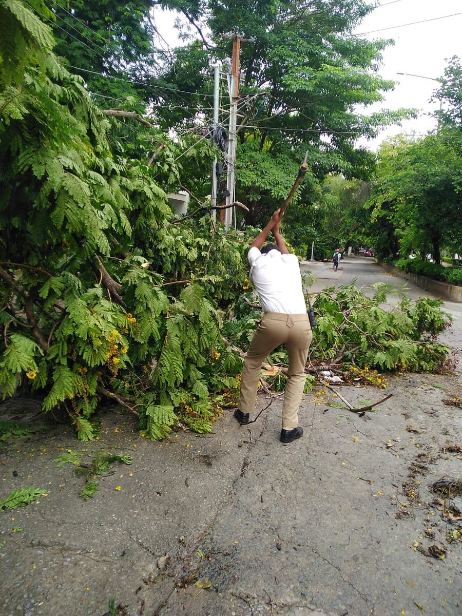 HYDTP's tweet photo. #HYDTPinfo Today @insptr_jhills removed fallen trees and tree branch in the limits of ps jubilee
@AddlCPTrHyd https://t.co/SyhhhwOTUm