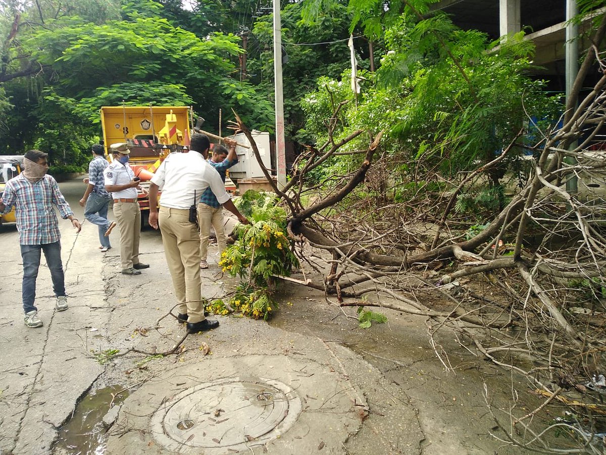 HYDTP's tweet photo. #HYDTPinfo Today @insptr_jhills removed fallen trees and tree branch in the limits of ps jubilee
@AddlCPTrHyd https://t.co/SyhhhwOTUm