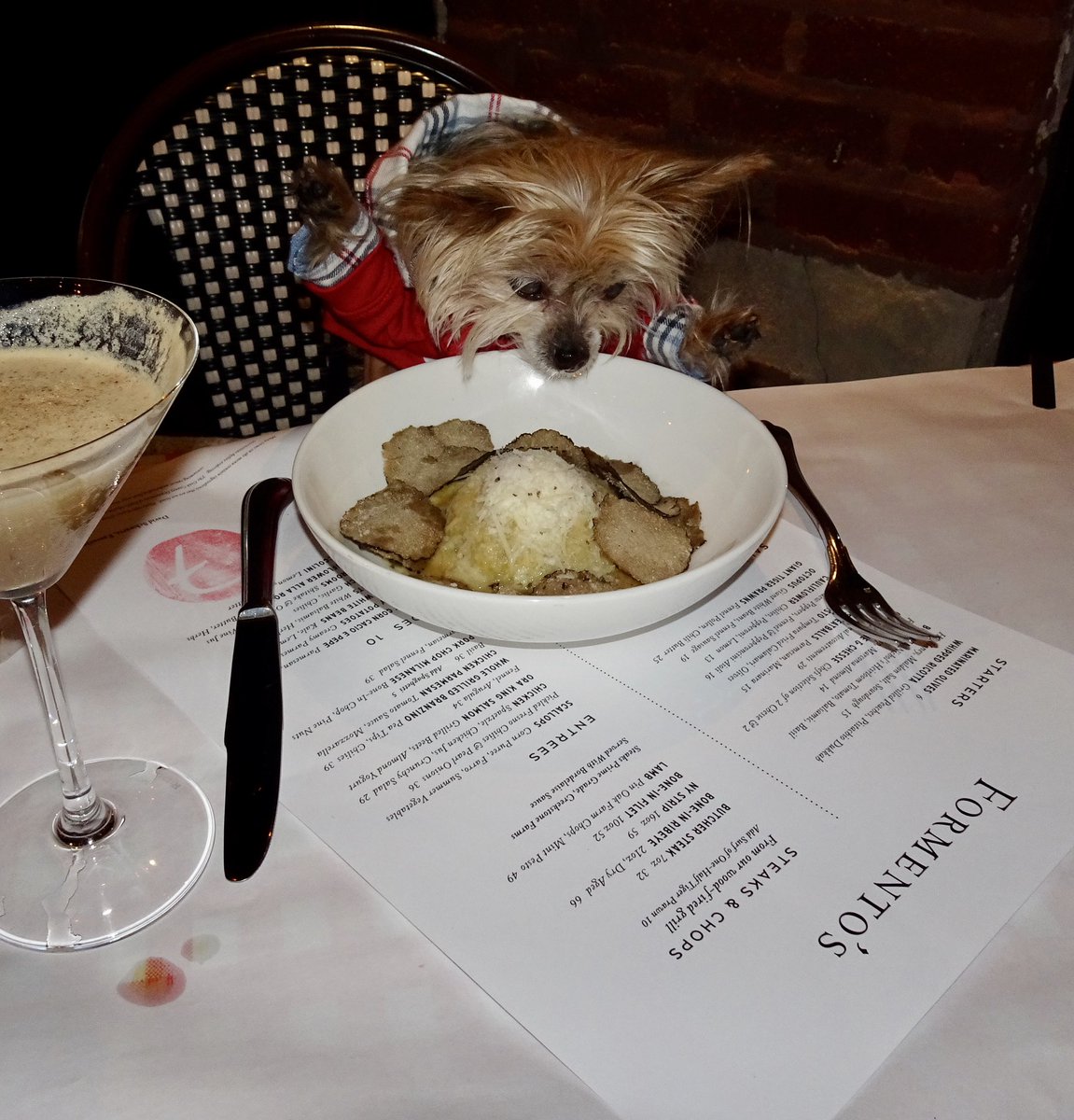 JaxAndChompers's tweet photo. Day 178 of Pawdemic 2020...When you are a hungry hound and treat yourself to Raviolo with truffles...#mangia #chompers @FormentosChi #dogsoftwitter #chicago #dogs #dogslife #seniordogs #smalldogsrule #happydog #dogfriendly #mansbestfriend #Italian #pasta #formentos #ravioli #yum https://t.co/l0LJWoIJOj