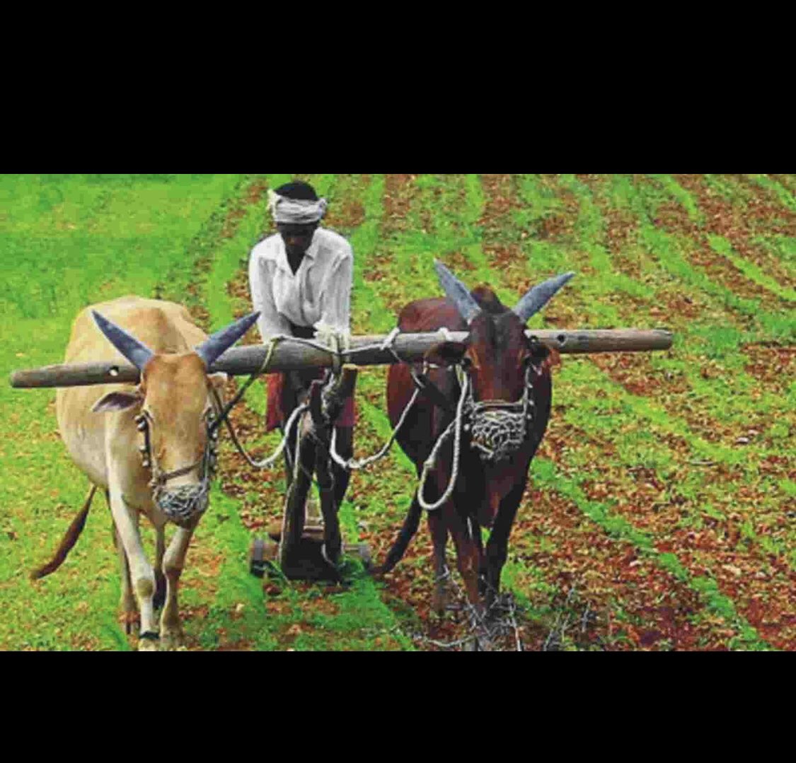 Aditya Ramkumar tweet media