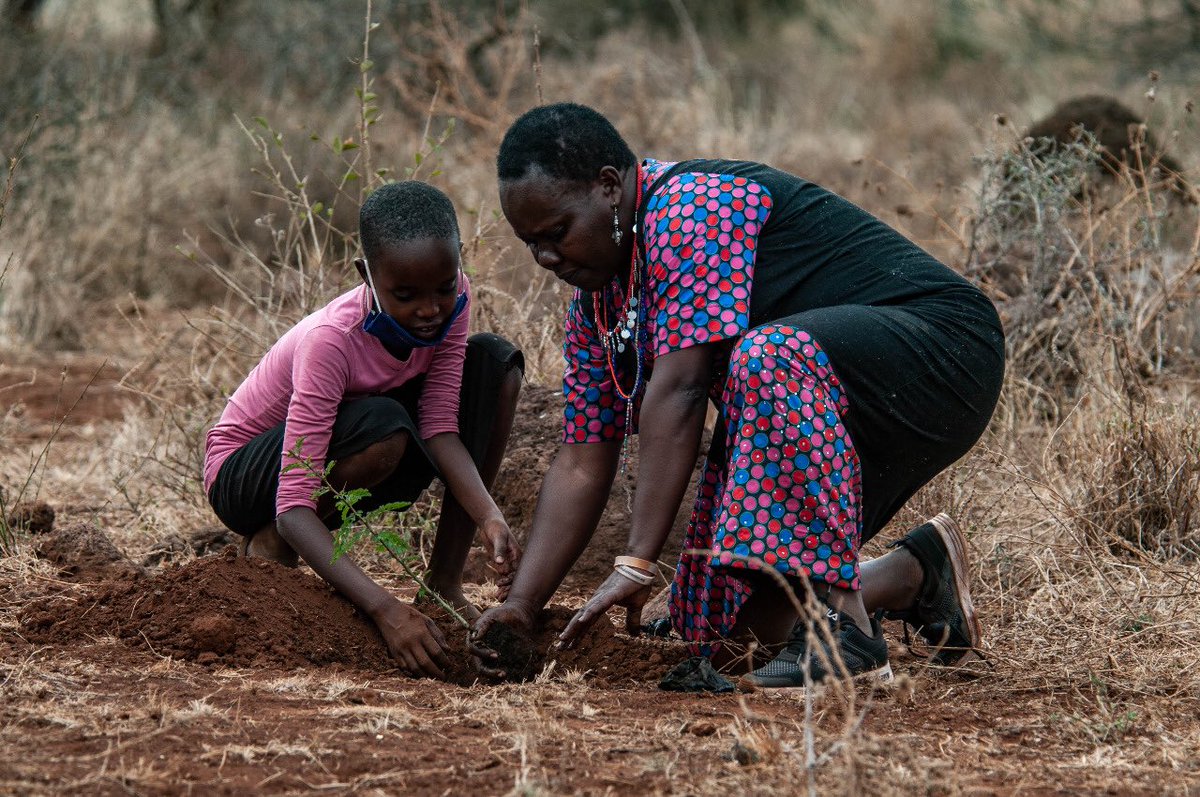 KiiruWinnie's tweet photo. The future belongs to Naisandi. I will always be there in the spirit of the trees we grow together. 
#eachoneplantone #ConservationKenya
@ChdKenya https://t.co/EMn7jH2sB9