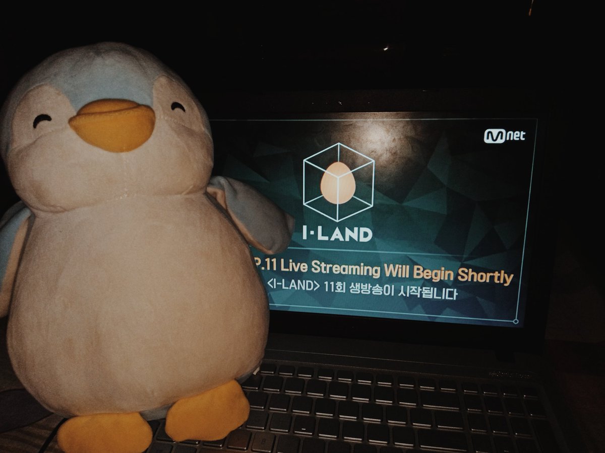 IntoSungho_on's tweet image. Another rollercoaster ride of emotions while watching #ILAND_EP11 with my sister.

Hang in there PARK SUNGHOON, you'll debut soon!🐧

You did great Hanbin, Fighting!👏

Congrats to K and to the rest of the team! So proud of y'all!❤️

#ILAND #I_STAYHOME @mnetiland