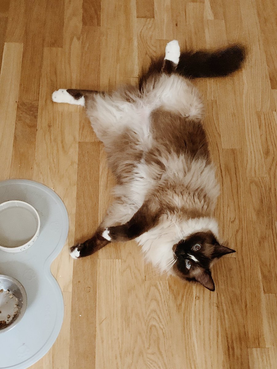 What day is it? ☁️☁️☁️