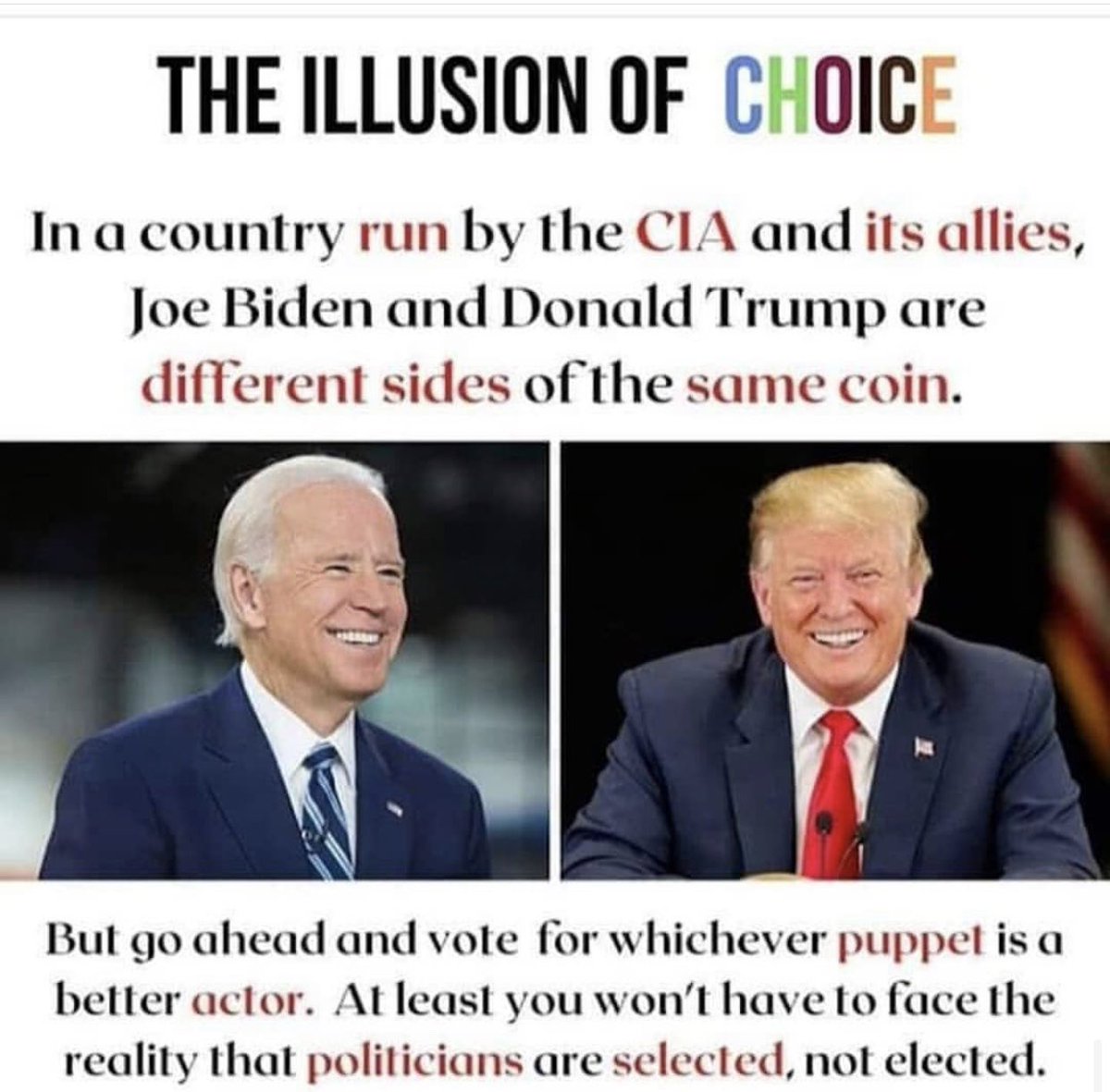 LilianaRobeson's tweet photo. #Election2020 #presidentsareselected #DivideandConquer #NWO #DemocracyScam https://t.co/aCfDwdsJUJ