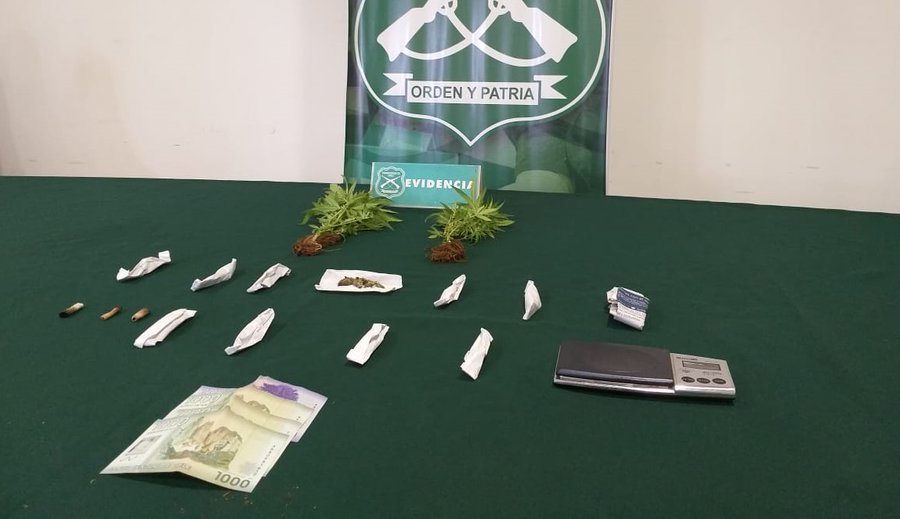 PiensaPrensa's tweet image. DECOMISO | Carabineros incauta 2 plantas de marihuana y 5 mil pesos en procedimiento en Coquimbo, tras un gran trabajo coordinado entre los efectivos del OS7 y Fiscalía.
elobservatodo.cl/noticia/socied…