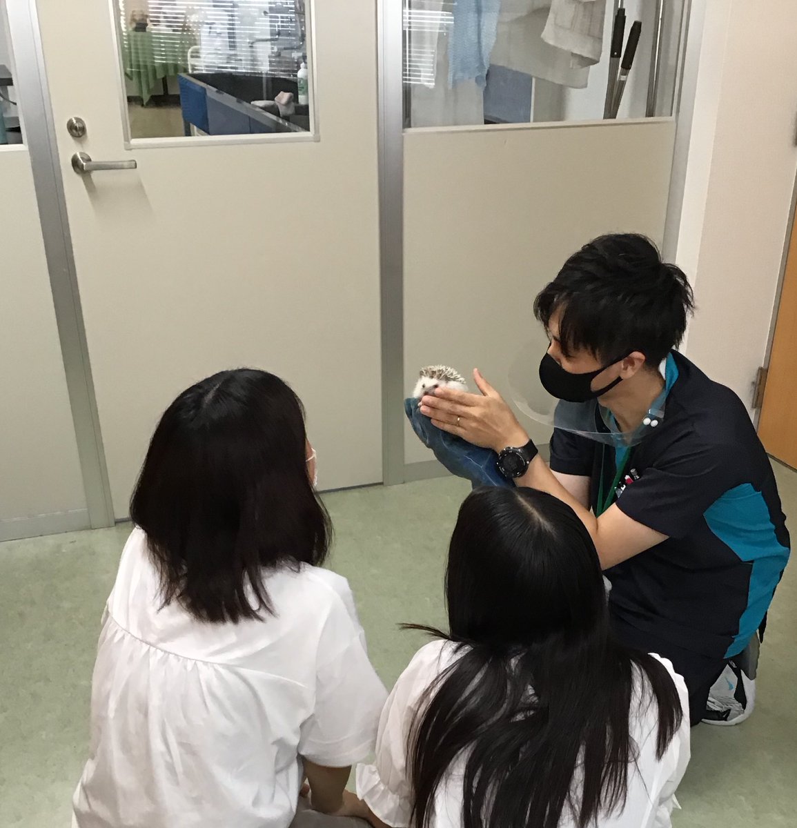 Yic京都ペット総合専門学校 本日のオープンキャンパスは ブース形式で体験巡りです オープンキャンパス Yic京都ペット総合専門学校