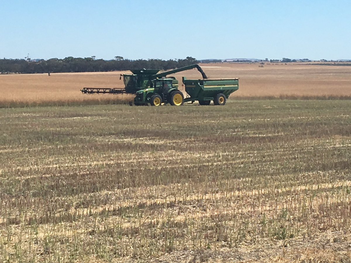 WaddiPark's tweet photo. Wanted, 2 chaser bin operators during November/December. No experience needed, just some common sense and a will to listen and learn. Please retweet. https://t.co/Z0vLGBI4bP
