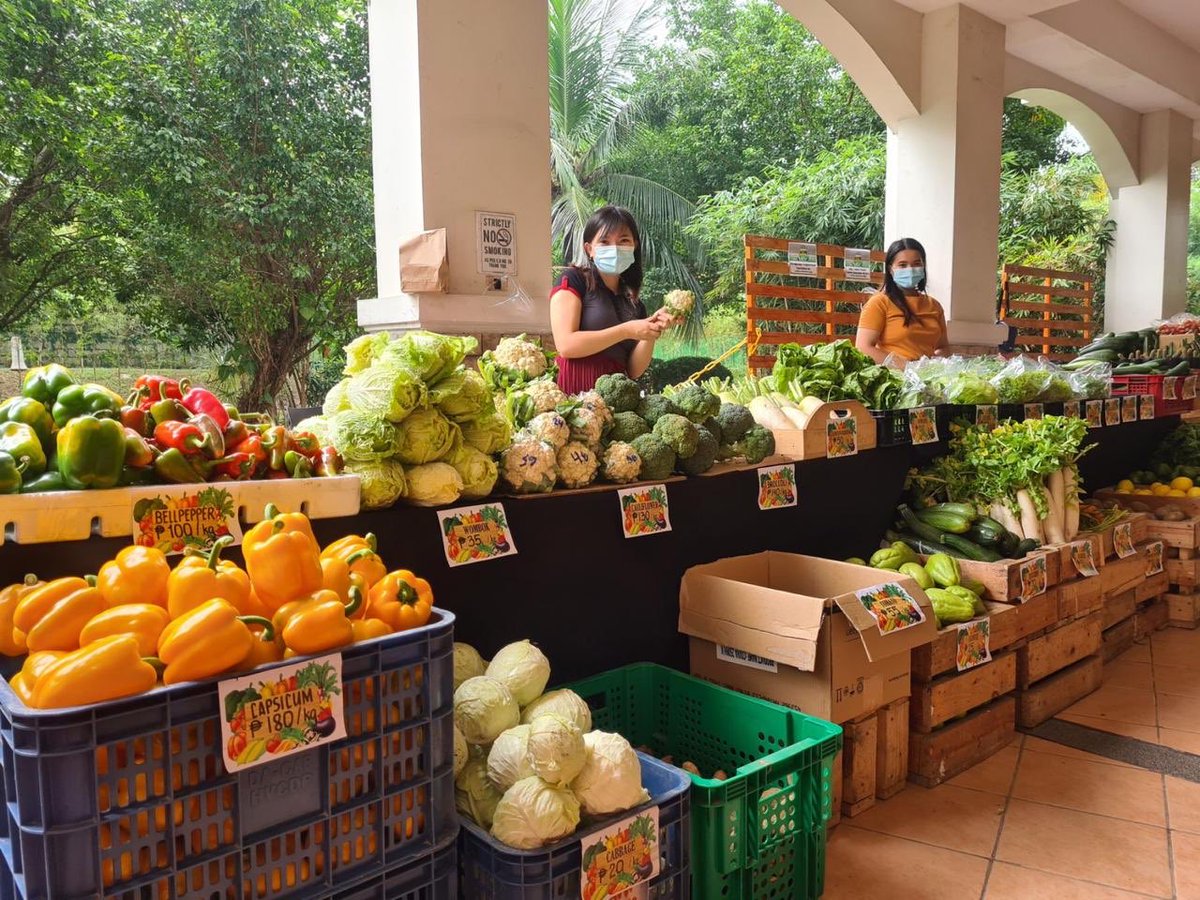forbestown_'s tweet photo. Shop and feast on fresh produce in style like @TessaValdes! 💃🥬🥒🍅

Visit #HarvestToGoodness at #ForbesTown across Burgos Park and Tipsy Pig until 6pm tomorrow. See you! https://t.co/HubhLmIDXl