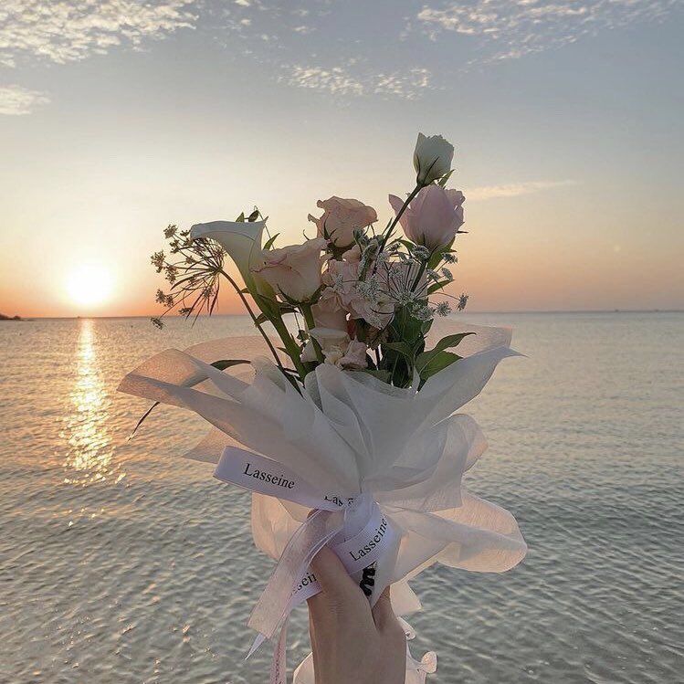 🤍 (@peonyfilms) on Twitter photo 