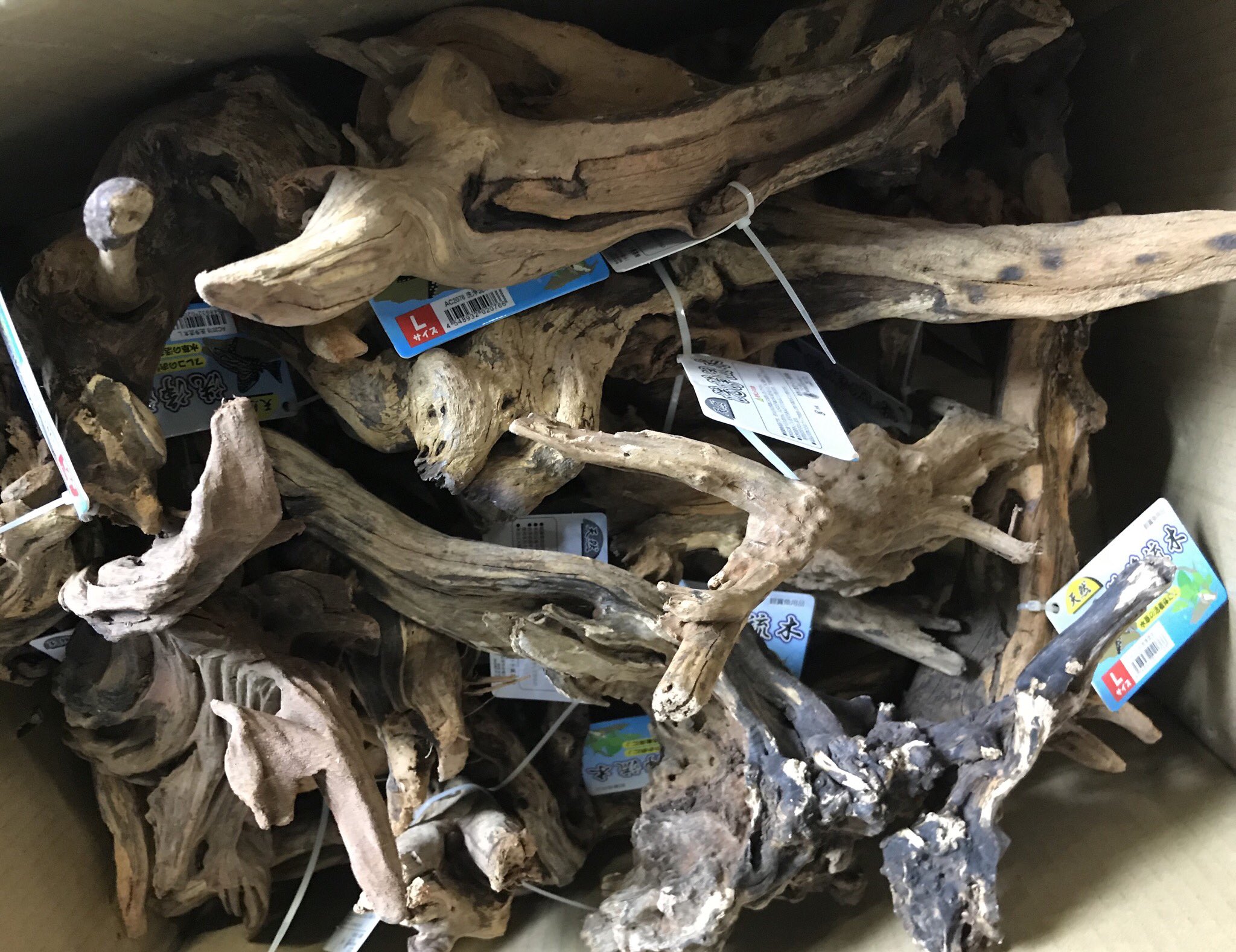 流木販売 Twitter Search Twitter