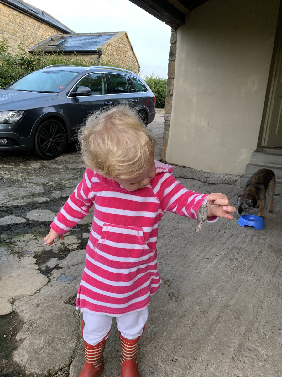 CurryMatty's tweet image. Productive morning #vermincontrol #teachthemyoung