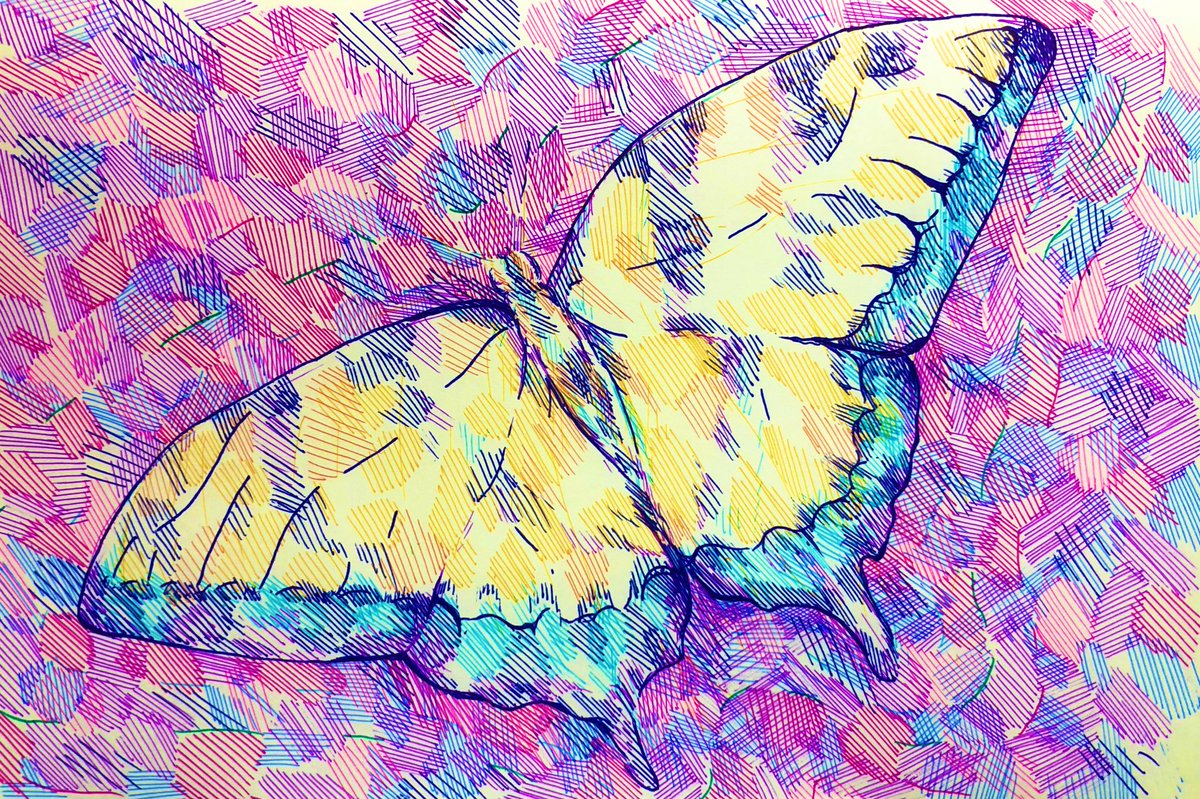 蝶々さん描きました 今回は少しシンプルに淡い感じで ボールペン画 けんしん 10月色々成長させるのイラスト