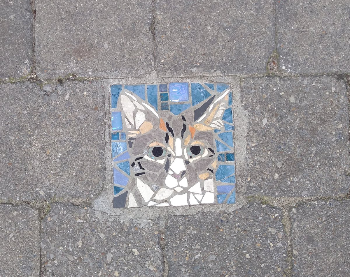JohnHyphen's tweet image. the local council in my part of brussels will install a mosaic on the path outside your house for FREE, and I realise that a bunch of people use it to get portraits of their cats