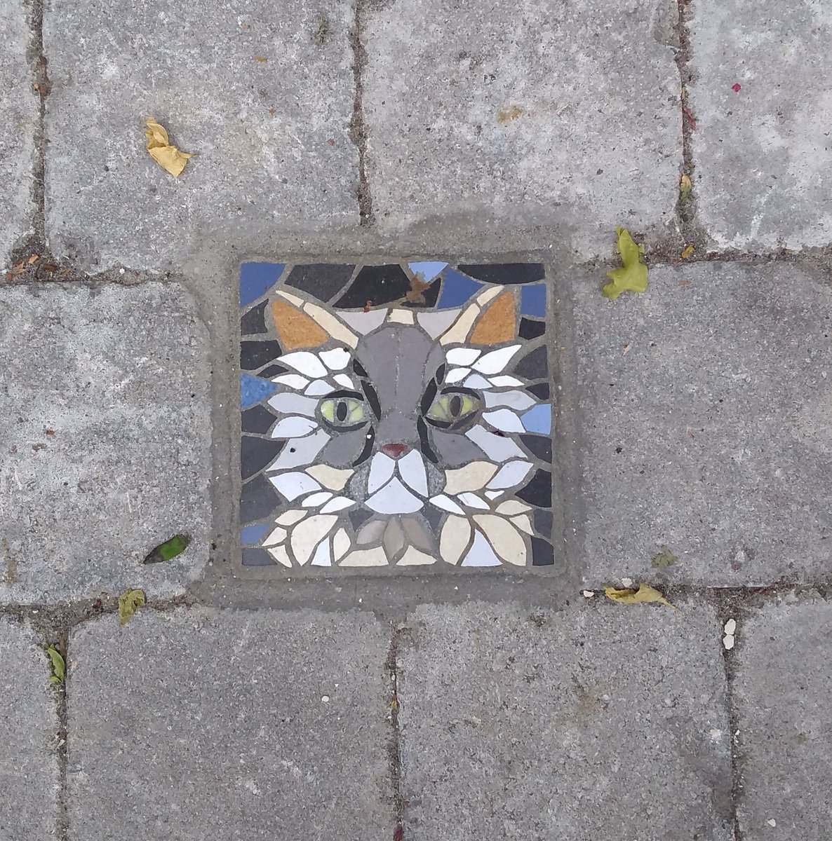 the local council in my part of brussels will install a mosaic on the path outside your house for FREE, and I realise that a bunch of people use it to get portraits of their cats