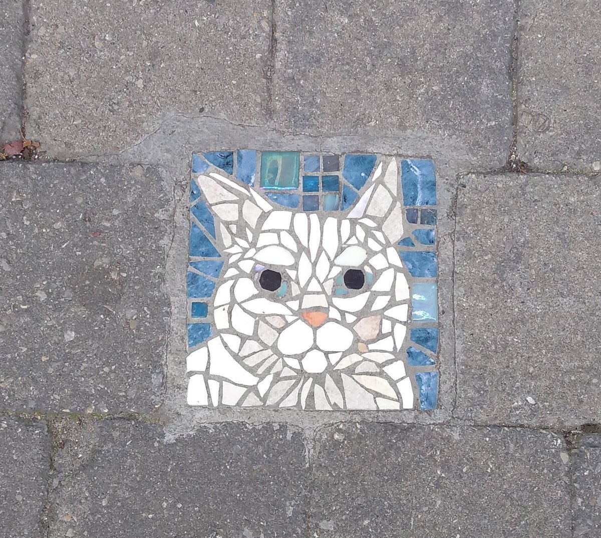 JohnHyphen's tweet image. the local council in my part of brussels will install a mosaic on the path outside your house for FREE, and I realise that a bunch of people use it to get portraits of their cats