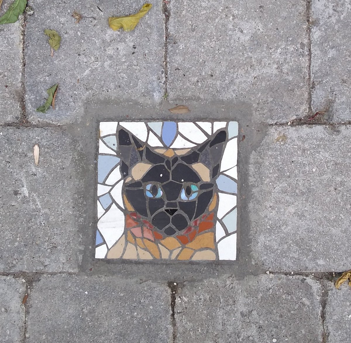 JohnHyphen's tweet image. the local council in my part of brussels will install a mosaic on the path outside your house for FREE, and I realise that a bunch of people use it to get portraits of their cats