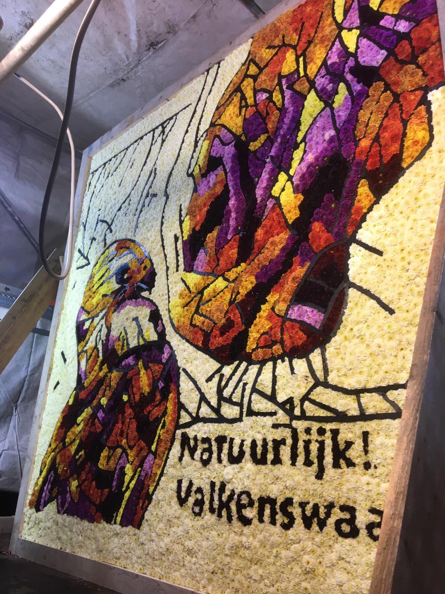 corsokompas's tweet photo. Het eindresultaat.. https://t.co/LRfQwWvc8H