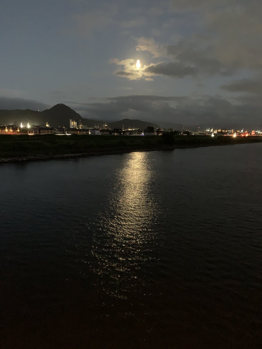 ちゃんこ tweet media