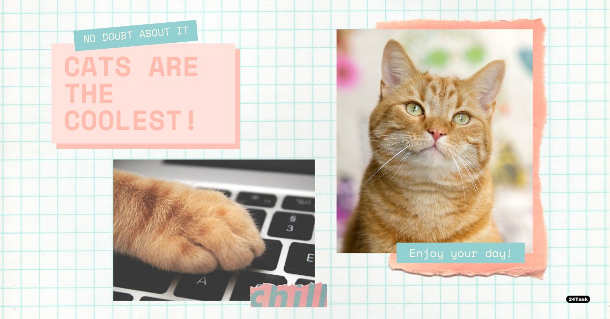 24Task's tweet photo. One of the best ways is to have your favorite pet around. ๐ป
Do you wanna work as a Magento developer online? Download the 24task app, link in our bio. ๐
#24task #onlinejob #MagentoDeveloper #hiremagentodeveloper #magentodevelopmentservices https://t.co/GjOxGsQWzo