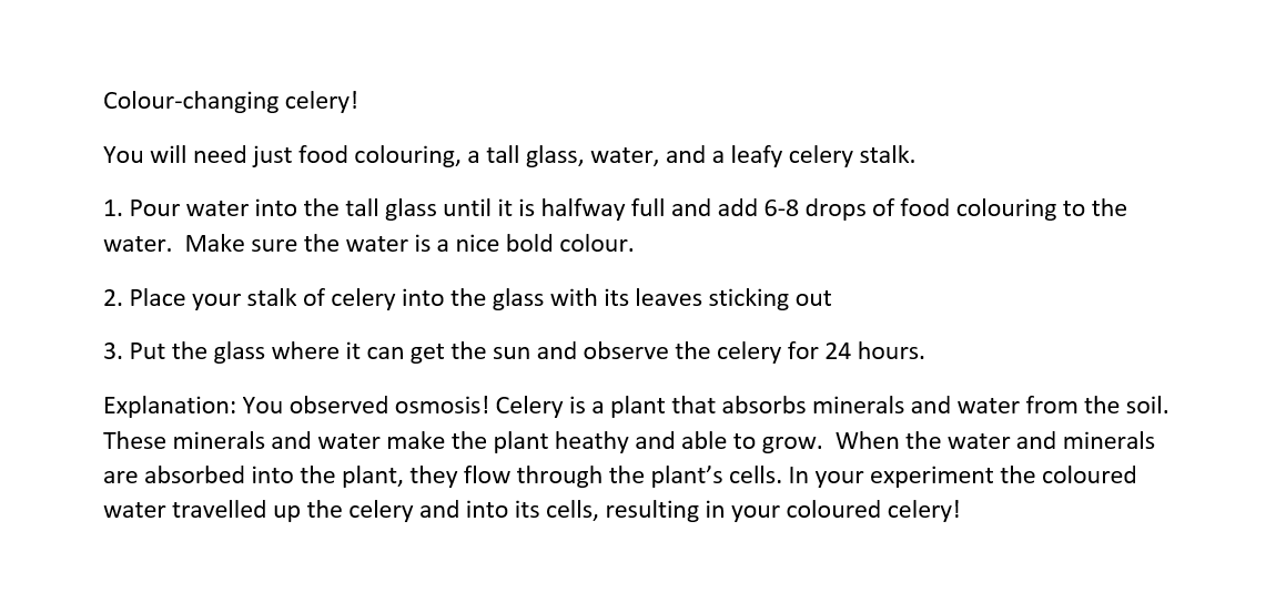 TheHiveWorcs's tweet photo. Itβs another Silly Science Saturday using household ingredients for fun science experiments at home! Today, we're changing the colour of celery πΏπΏπΏ You will need food colouring, a tall glass, water, and leafy celery stalks #STEM #STEAM #LibrariesFromHome #SillyScienceSaturdays https://t.co/gMEtPMnDQK