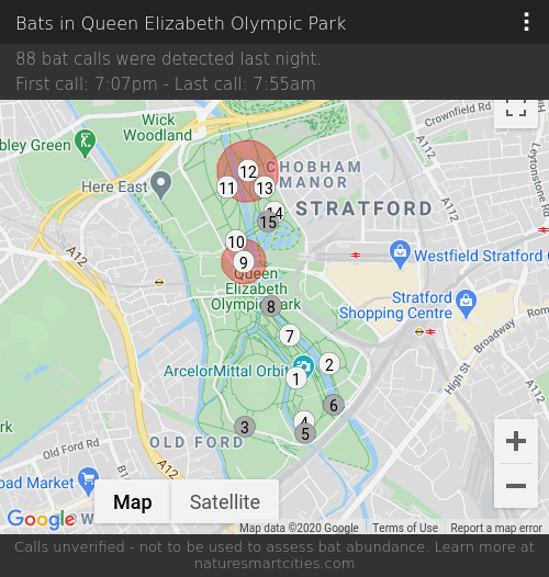 88 bat calls were detected last night, 11-09-2020.