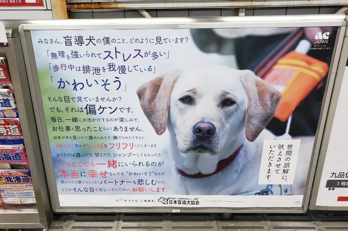 ヴィーガンは盲導犬すら誹謗中傷の対象にする Togetter ヴィーガンは盲導犬すら誹謗中傷の対象にする Togetter