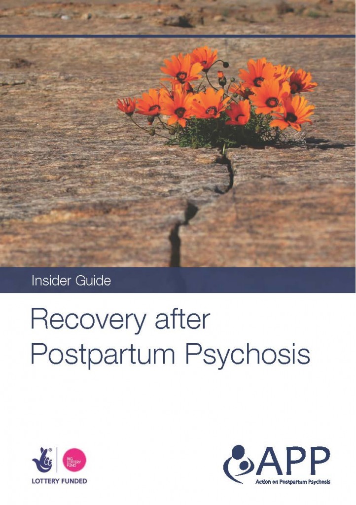 Our guides have been written with the help of women &amp; families who have experienced postpartum psychosis. If you'd like FREE hard copies of these guides, please get in touch: bit.ly/APPGuides