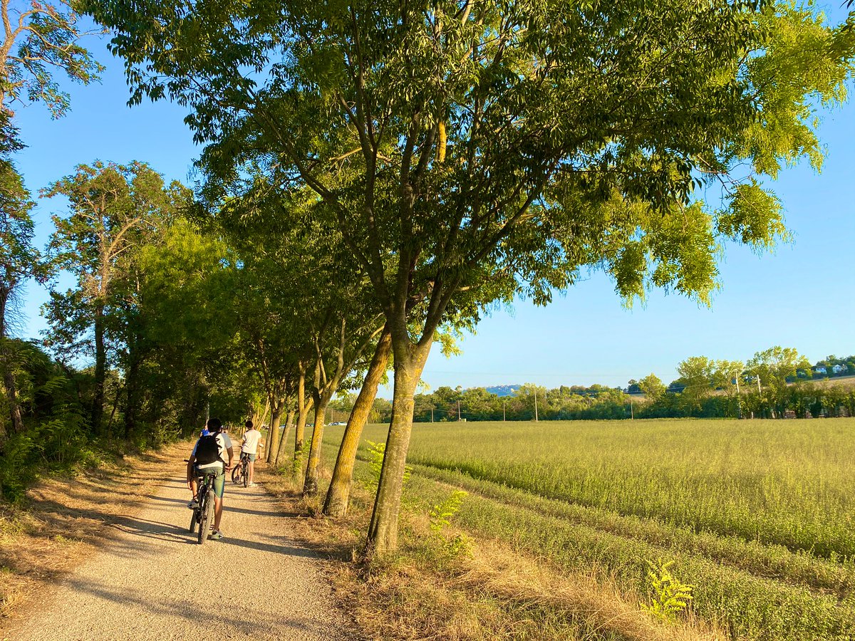 passettoancona's tweet photo. MarcheTourism: RT @italiaconibimbi: La ciclabile nella Riserva del fiume Musone, un’altra meraviglia nascosta che abbiamo scoperto nel nostro tour con #destinazionemarche #Marche 
#adv @MarcheTourism @MarcheTourismEN https://t.co/bubJtPH0qE https://t.co/ZBwHsm8Cpg