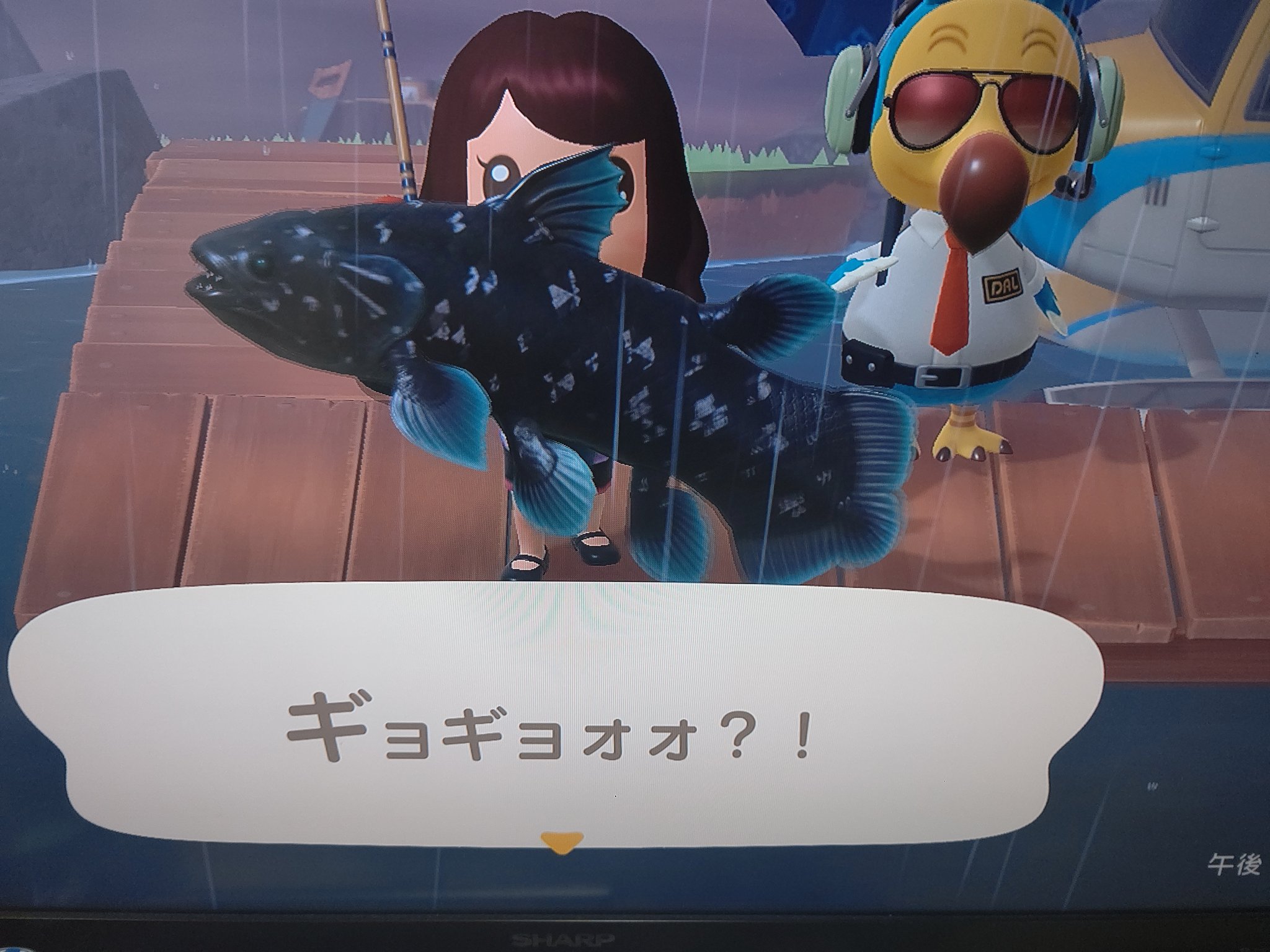 森さっちゃん Adhd不注意優勢型 あつ森 離島 での 本日の 釣果 あつまれどうぶつの森 T Co Kmhdx9zyov Twitter