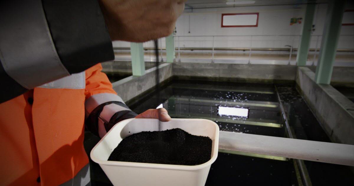 Vivian_AMIEL's tweet photo. #Metz « lave » son eau avec du charbon actif en poudre.

Ce 10 septembre, pose de la première pierre de la future unité de traitement ActifloCarb, au sein de l'usine d'#Eau #Potable exploitée par la Mosellane des Eaux, filiale de @Veolia_FR

@EricLahaye1 https://t.co/bWDksW0RQ8 https://t.co/FzM2GFXfZT