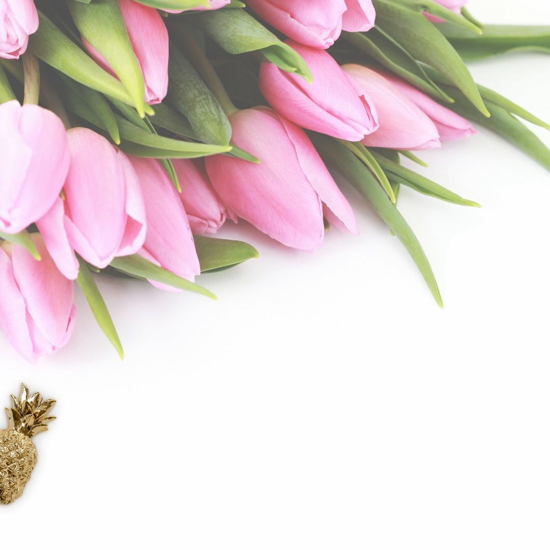 Bloemify's tweet photo. Wij zijn voor ons nieuwe platform op zoek naar bloemisten en kwekers van #bloemen, #planten, #groente en #fruit. #bloemify #buyflowersnottoiletpaper #flowers4oxygen #flowersboostchallenge https://t.co/Q5lyOvbFs0