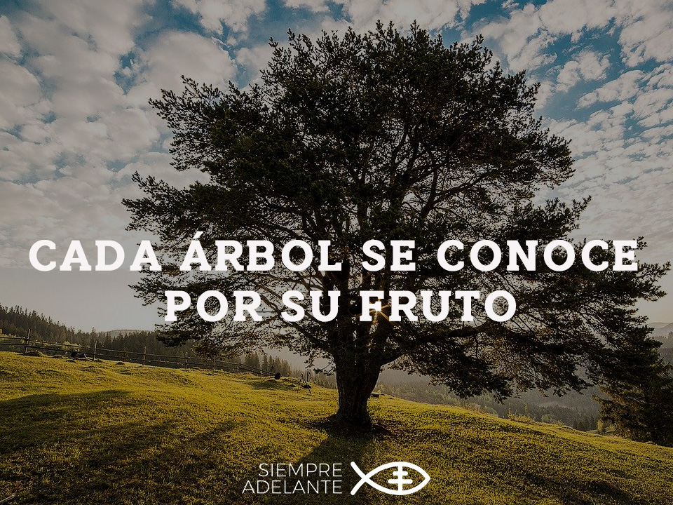 SAdelanteAS's tweet photo. #EvangelioDelDía  Lc 6, 43-49. “¿Por qué me llamáis «Señor, Señor», y no hacéis lo que digo?”
https://t.co/Ft8EdNnpjm #SiempreAdelante #PalabraViva https://t.co/KyWHCusxNS