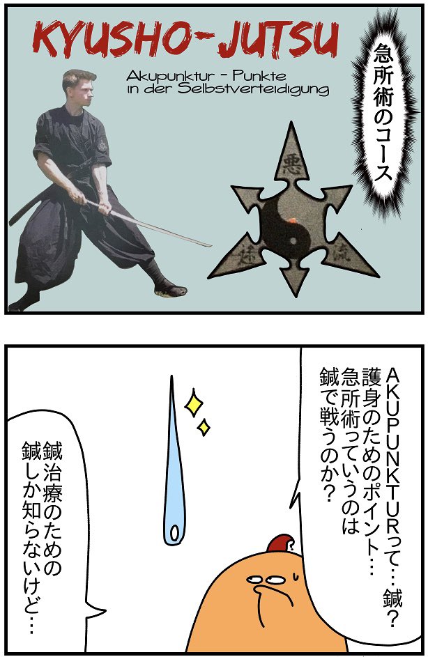おうちのポストに入ってたチラシが非常に興味深かった。ちなみに"Akupunkturpunkte"は「つぼ」のことだそうだ。
忍術と急所術を習ったことがあるひといたら教えてください