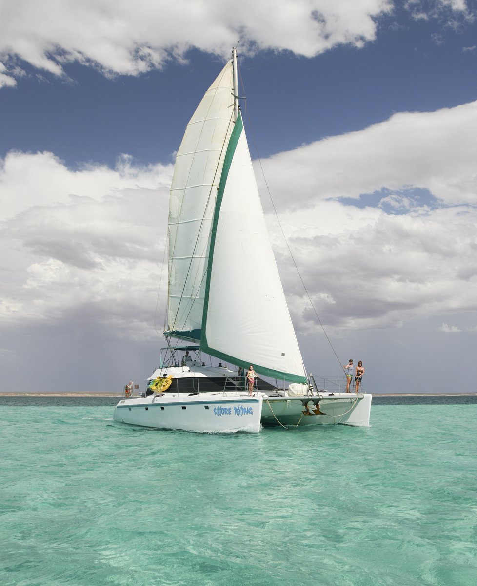 SailNingaloo's tweet photo. "Can't recommend Sail Ningaloo snorkelling tours enough. I was travelling solo and had the best time on board. The crew couldn't do enough for you &amp; the snorkelling in Ningaloo is absolutely pristine with such a bounty of marine life"
Margaret, 65, Fremantle https://t.co/OhhRXsHUUK