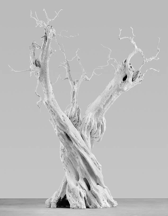 Fran__Taylor's tweet image. Yesterday I had my first trip to central London since last February. So good to be back! 

We saw #AmongtheTrees at @haywardgallery (kinda light in substance but still lovely to experience) followed by a huge burger at @honestburgers. Fun times.