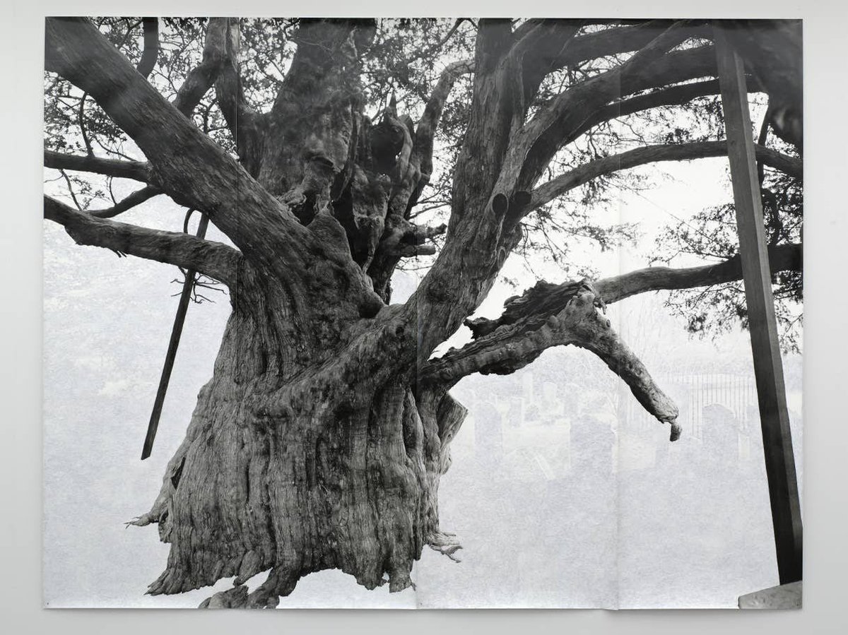 Fran__Taylor's tweet image. Yesterday I had my first trip to central London since last February. So good to be back! 

We saw #AmongtheTrees at @haywardgallery (kinda light in substance but still lovely to experience) followed by a huge burger at @honestburgers. Fun times.