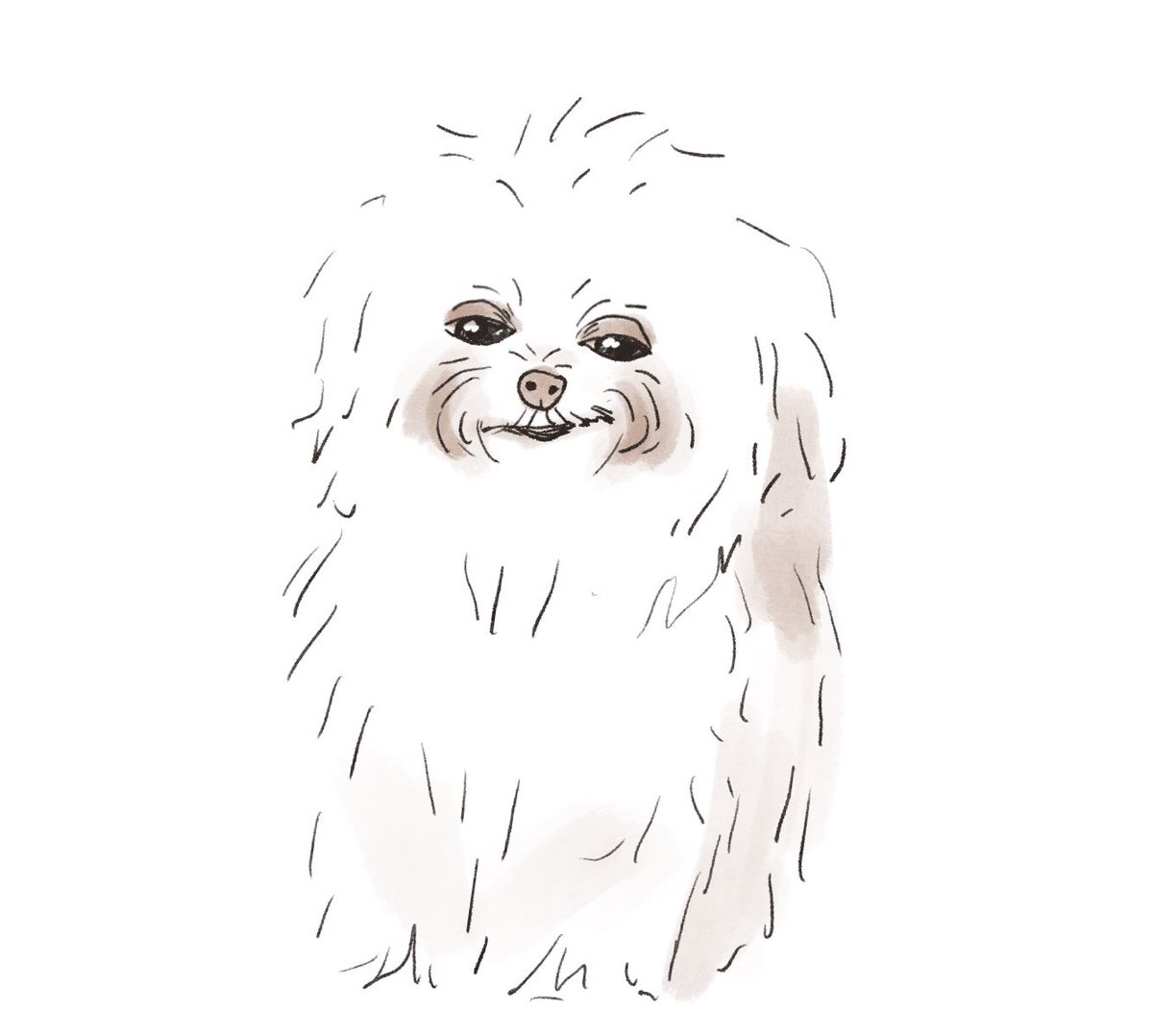 amy hudkins tweet media