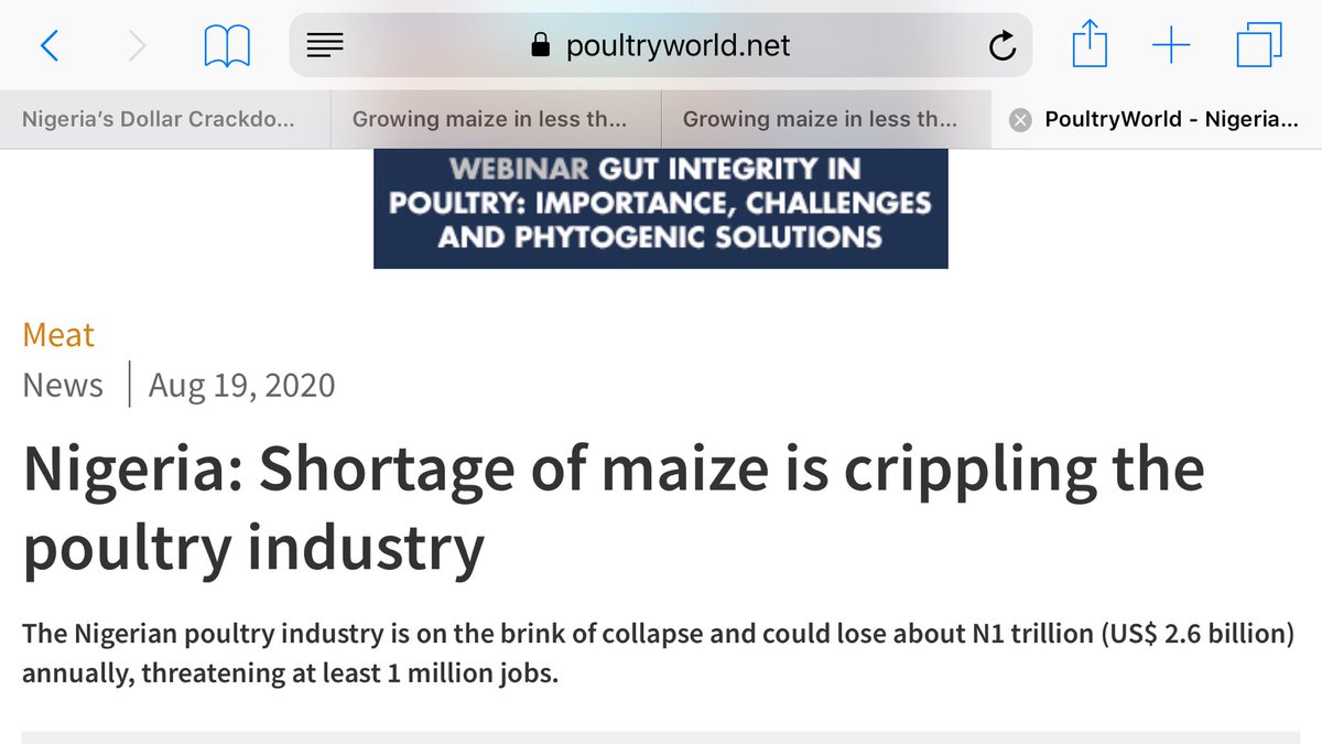 Unfortunately, banning import of food commodities & agric inputs right now, will not have the desired effects...it certainly wouldn’t improve the welfare of the average Nigerian resident.This is because we haven’t put the necessary things in place to improve our productivity