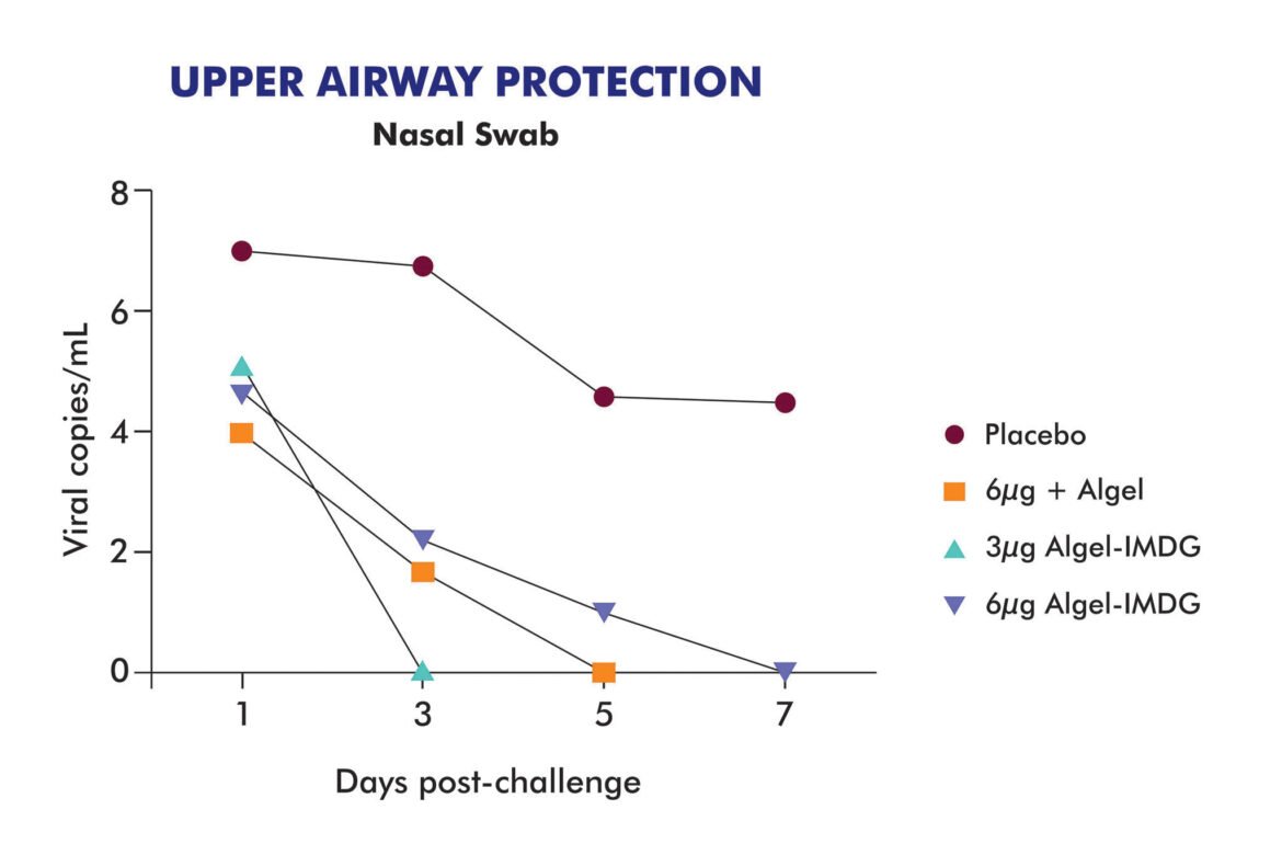  @BharatBiotech's COVAXIN (COVID19 vaccine) trial results in 20 rhesus macaques is out.  https://www.bharatbiotech.com/blog/vaccines/covaxin-animal-study-results/  https://www.researchsquare.com/article/rs-65715/v1 @malini_aisola  @drkamnakakkar  @prat1112001  @nowme_datta  https://twitter.com/BharatBiotech/status/1304413008756531201