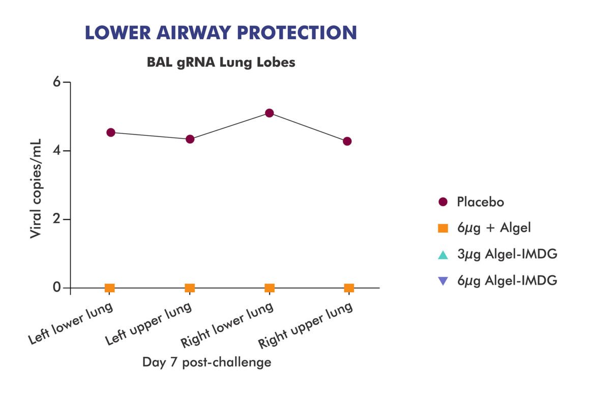  @BharatBiotech's COVAXIN (COVID19 vaccine) trial results in 20 rhesus macaques is out.  https://www.bharatbiotech.com/blog/vaccines/covaxin-animal-study-results/  https://www.researchsquare.com/article/rs-65715/v1 @malini_aisola  @drkamnakakkar  @prat1112001  @nowme_datta  https://twitter.com/BharatBiotech/status/1304413008756531201