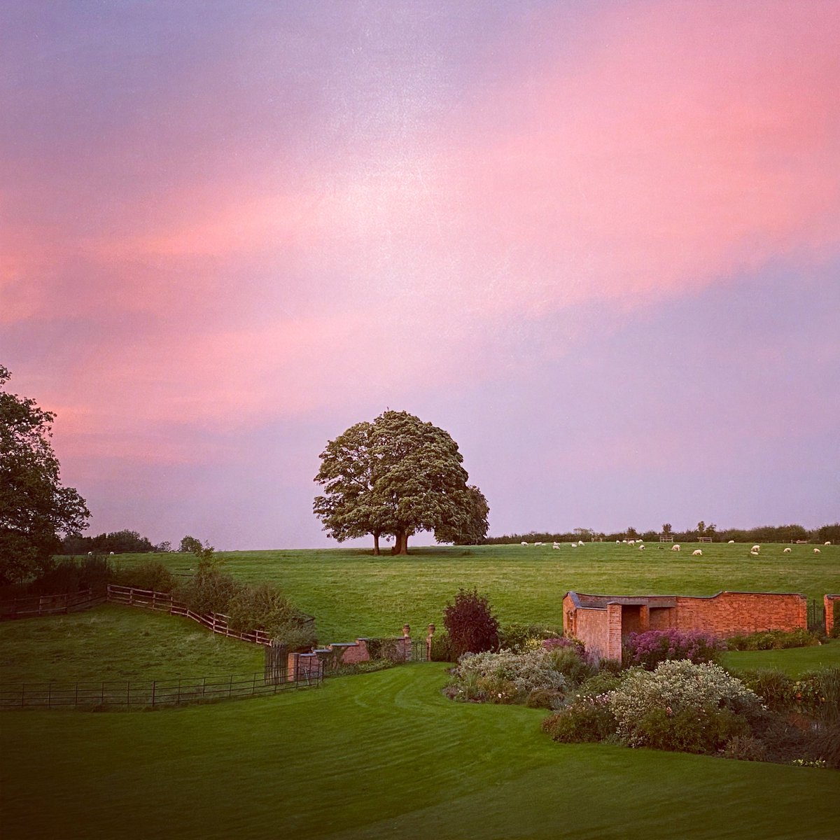 HambletonBakery's tweet photo. Red Sky at Night.... here’s looking forward to a sunny weekend ☀️
#itsgoingtobeagreatday #loveyourlocalloafer #realbreadcampaign #shoplocal
#hambletonbakery #puttingbreadonthetable
#freshlybakedeveryday #supportsmallbusiness
#rutlandlife #supportingthecounty #wellbread https://t.co/eCmtdQHPRP