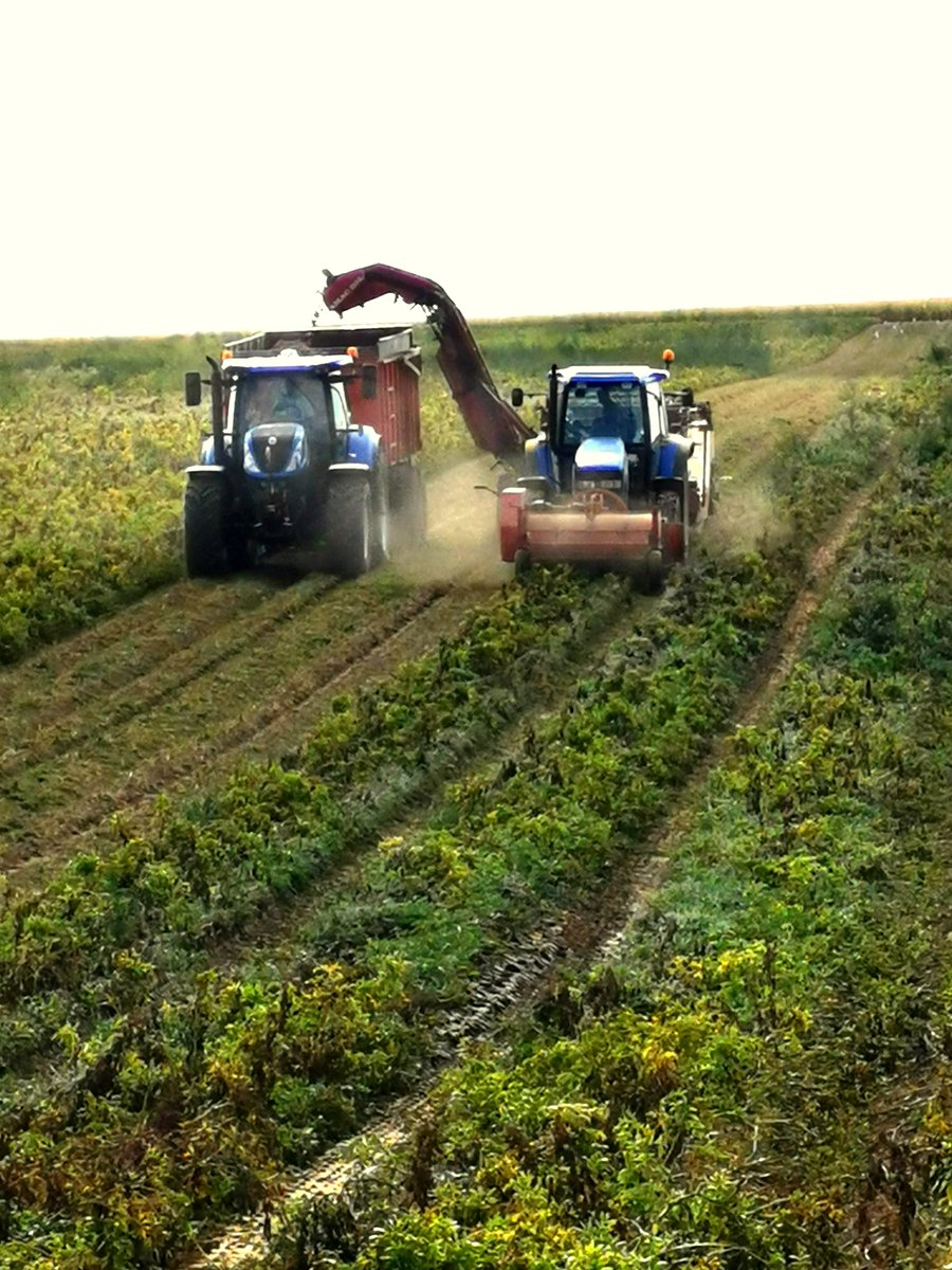 Aneta Lazarevic tweet media