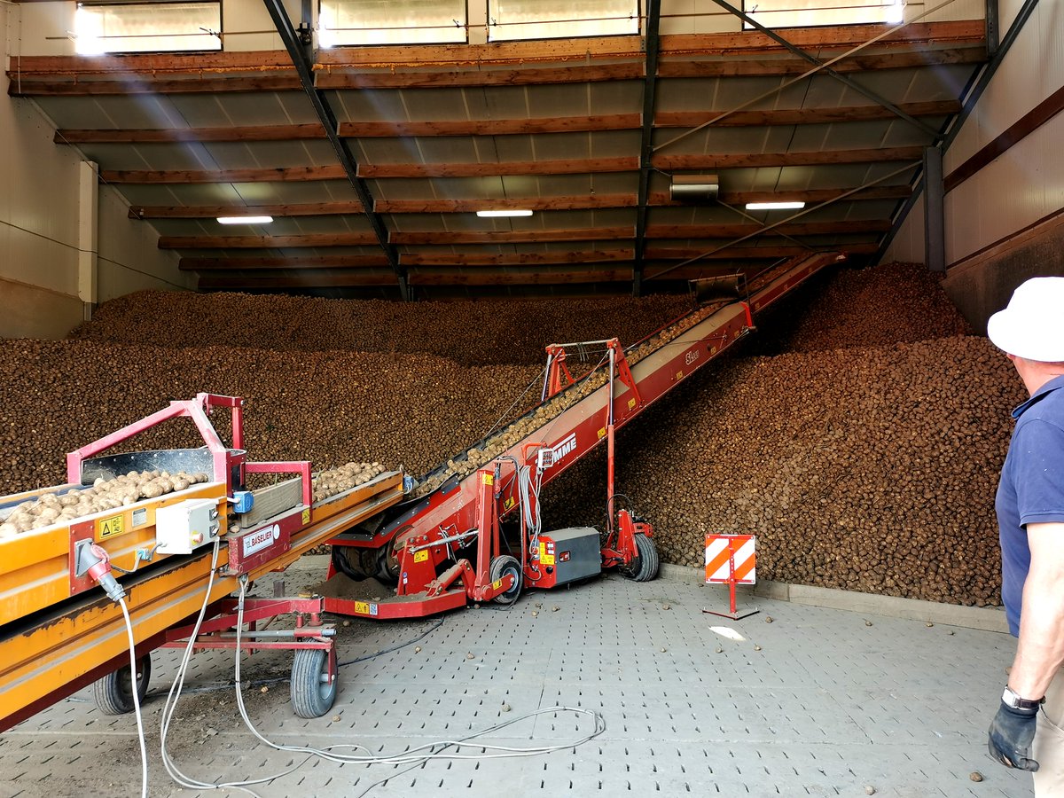 Aneta Lazarevic tweet media