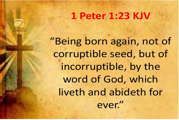 GodsRighteousness_Charity on Twitter: "1 Peter 1:23 KJV Being born again,  not of corruptible seed, but of incorruptible, by the word of God, which  liveth and abideth for ever. https://t.co/abCqJrNUNz" / Twitter