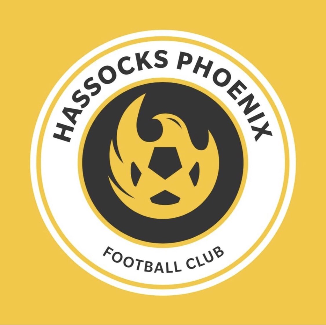Hassocks Phoenix FC tweet media