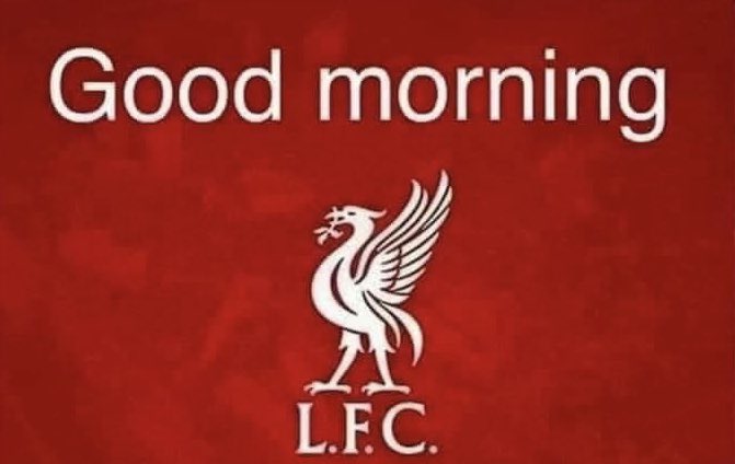 Davina51026186's tweet photo. @ssveta300 @VirgilvDijk @ivanaa90 @TXeedon @micheletweet53 @monamangood @ghahreeb @IamAdamLFC @Adam14Ahmad1 @jonnieivandoyle @JustinC94019825 @Redlaa1 G🥰🥰d morning gorgeous morning reds ❤️ #HMD 🙌🏽 ⚽️🔴 Enjoy the game later everyone and have a super Saturday 🤗 Take care, keep safe and well #TYFBA #COYR #LFC #LFCFamily https://t.co/axCobGQJLc