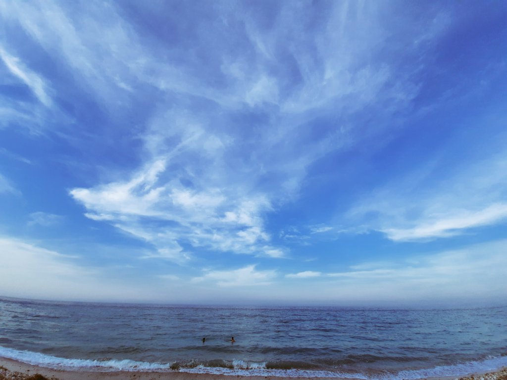 WD007B's tweet image. 🤫