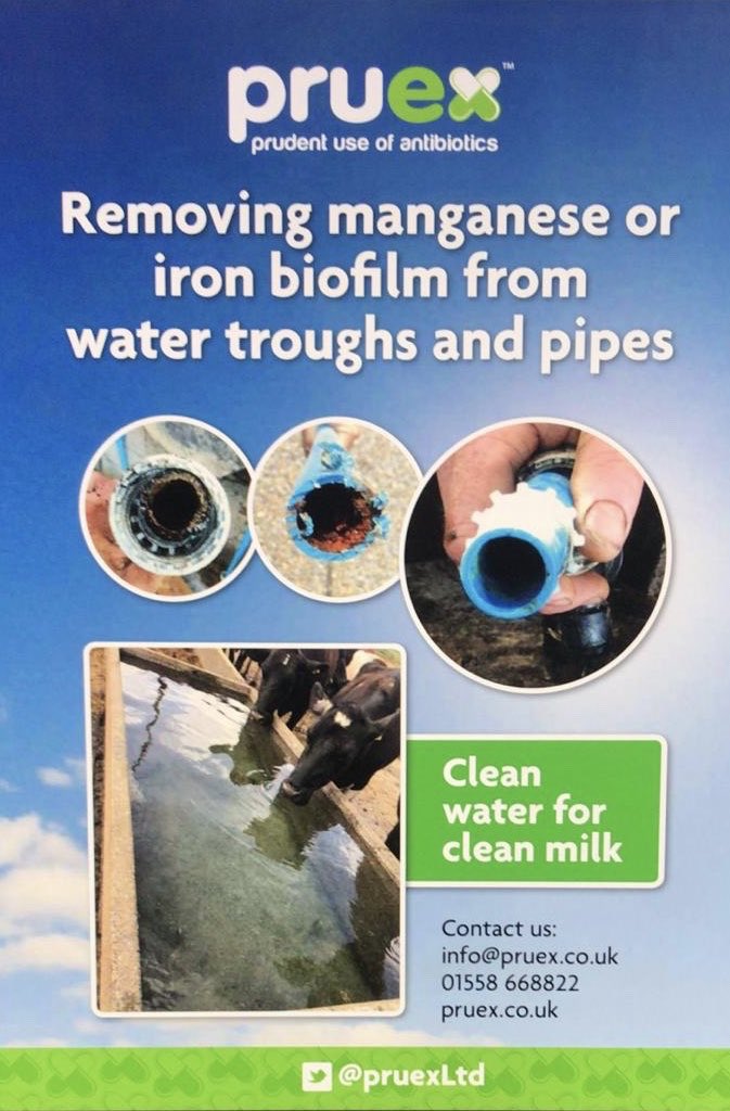 PruexLtd's tweet photo. https://t.co/JpdSu0KfIU #dairy365 #farming365 #Crypto #calfhealth #lesscost #healthyanimals #AntibioticGuardian https://t.co/yfIJiXQyRQ