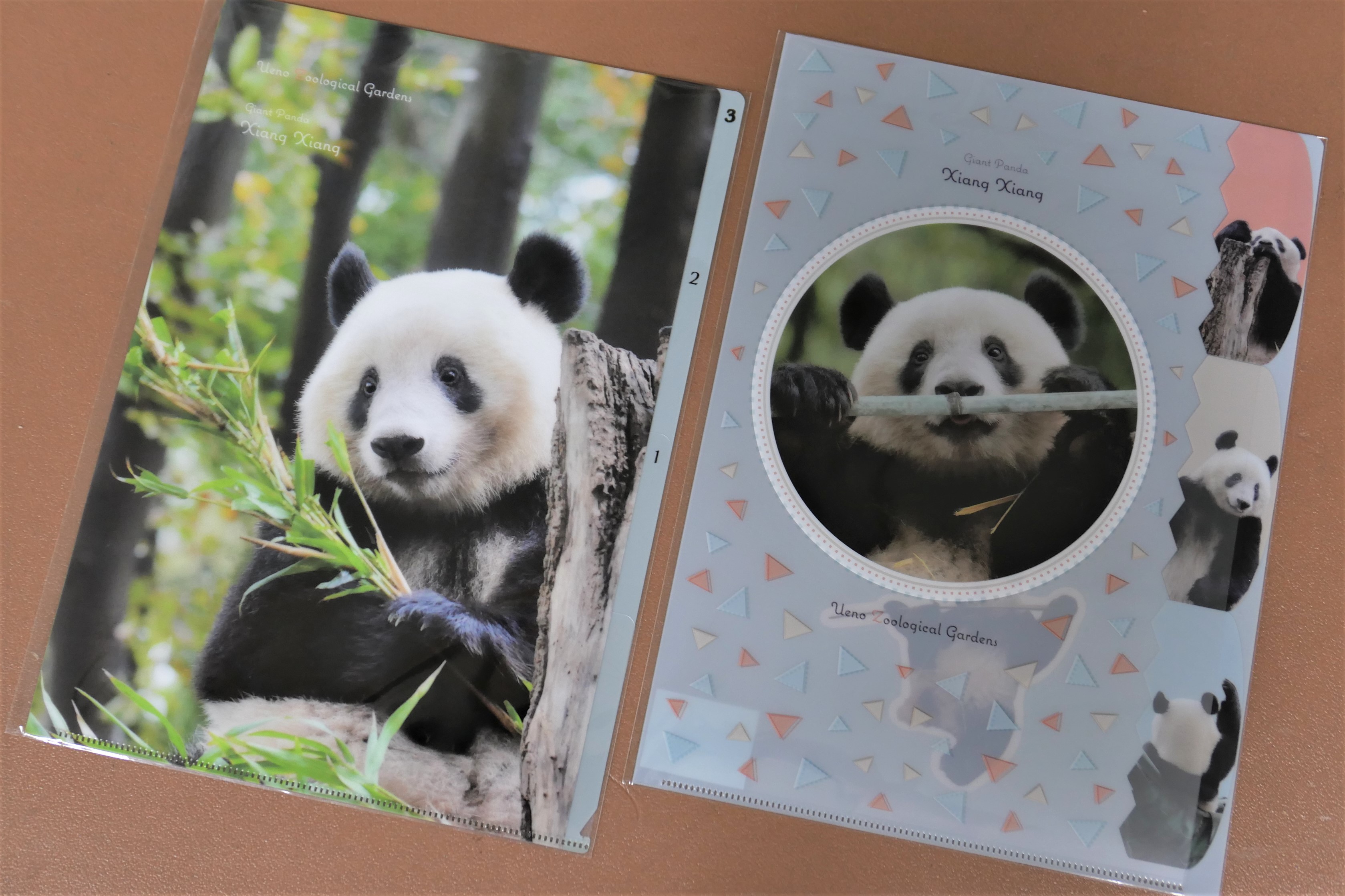 上野動物園［公式］ on X: 